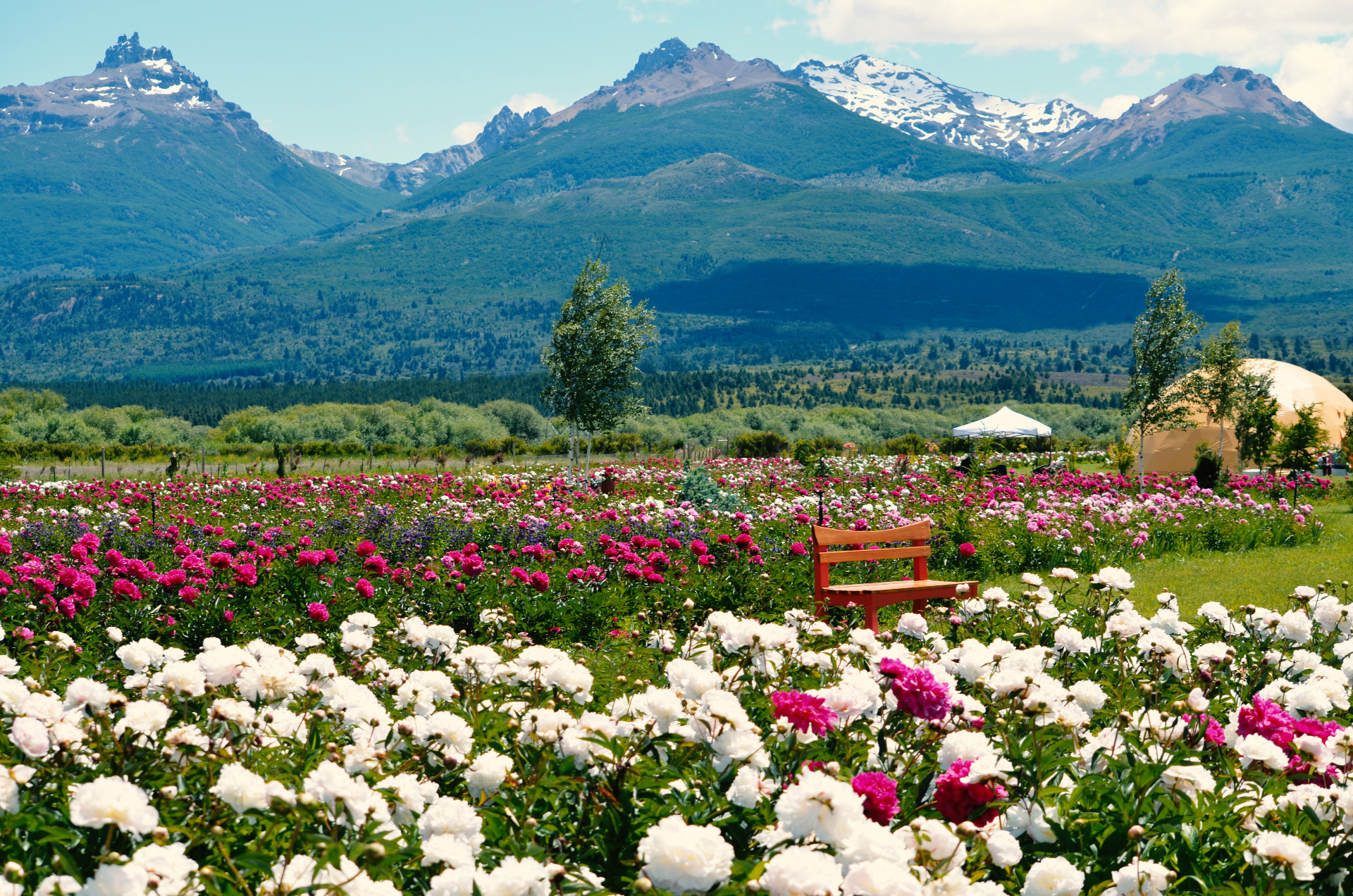 TREVELIN FULL DAY –– CON VISITA AL CAMPO DE PEONIAS — Trevelin, Chubut