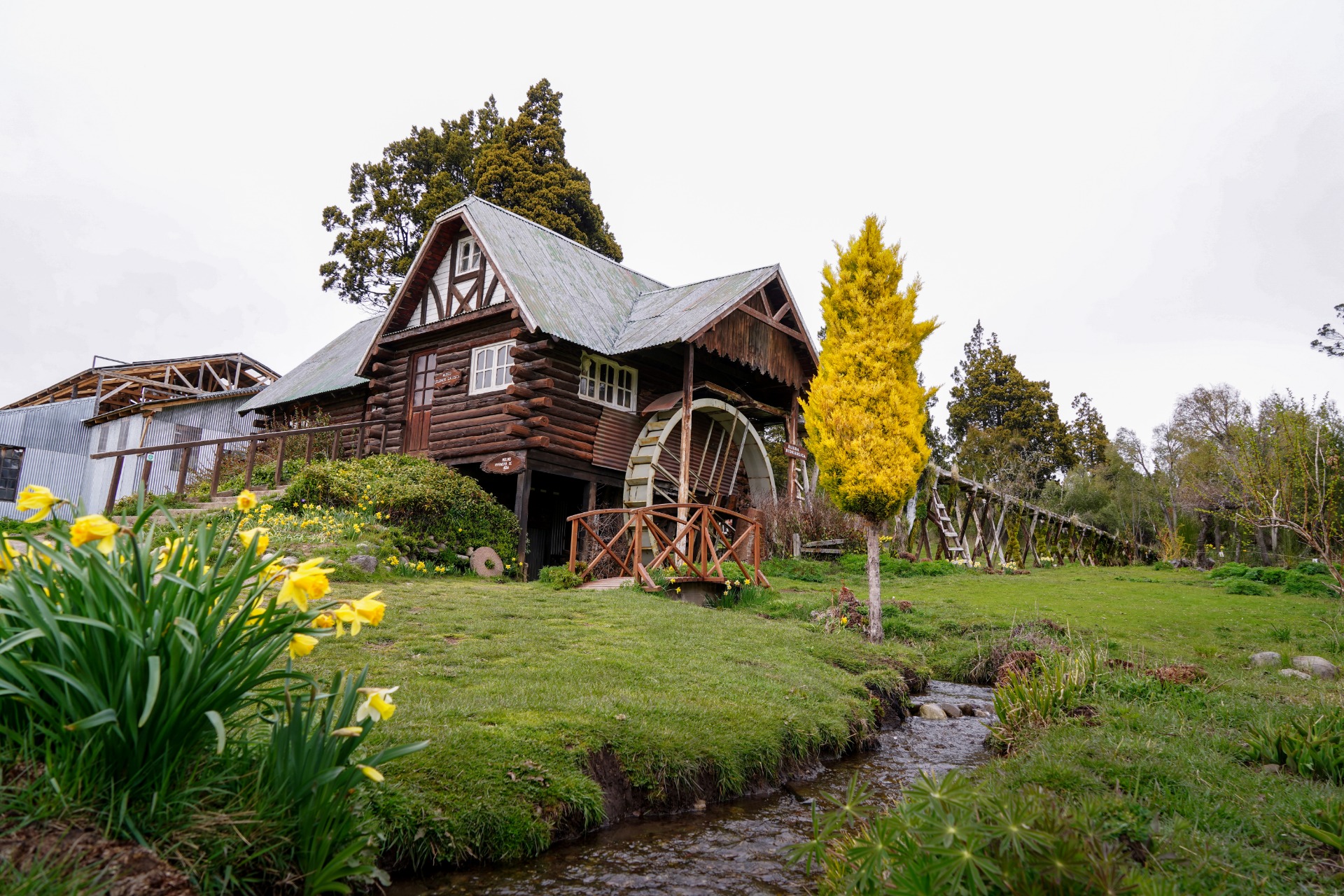 RUTA GALESA - Half Day — Trevelin, Chubut, Patagonia
