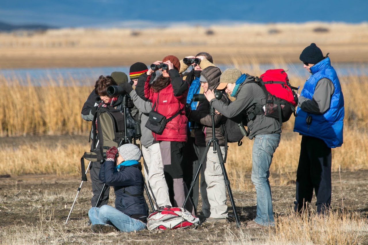OBSERVACIÓN DE AVES | FULL DAY — Trevelin, Chubut, Patagonia