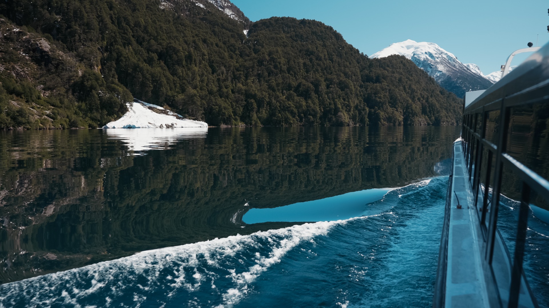 BOSQUE DE ALERCES MILENARIOS (GLAXIAR) — Parque Nacional Los Alerces, Patagonia