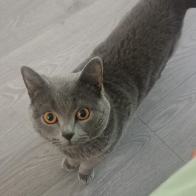 Duygu odabaş