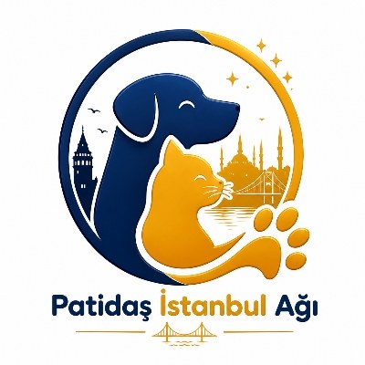 Patidaş İstanbul Ağı