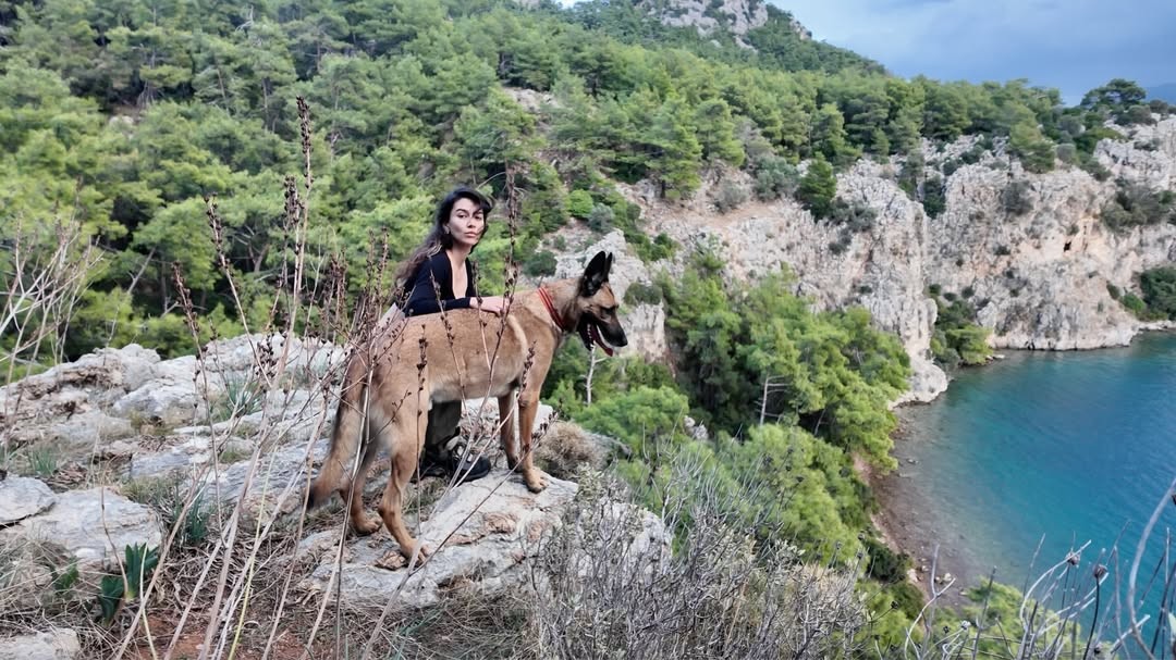Gönderi
