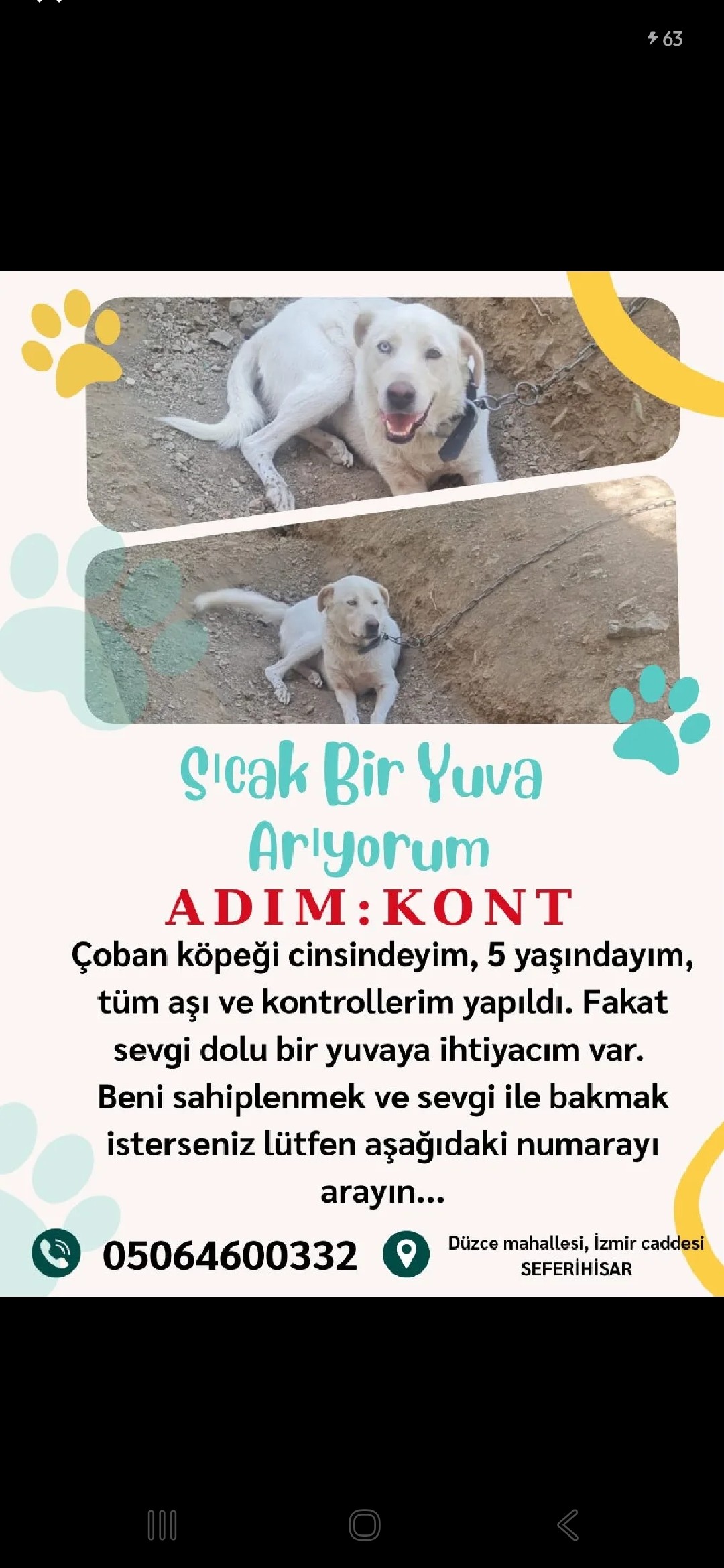 Gönderi