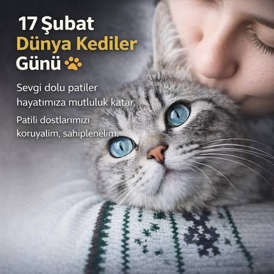 Gönderi