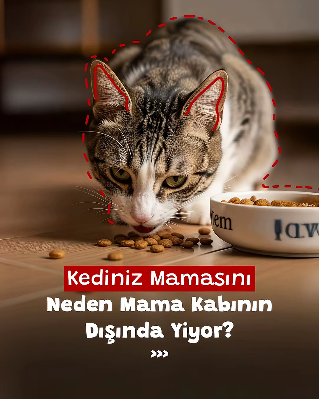 Gönderi