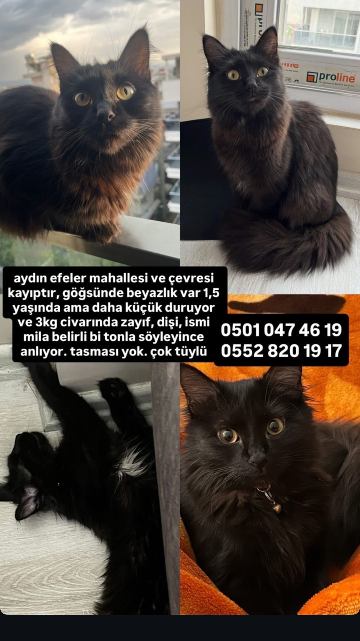 Gönderi