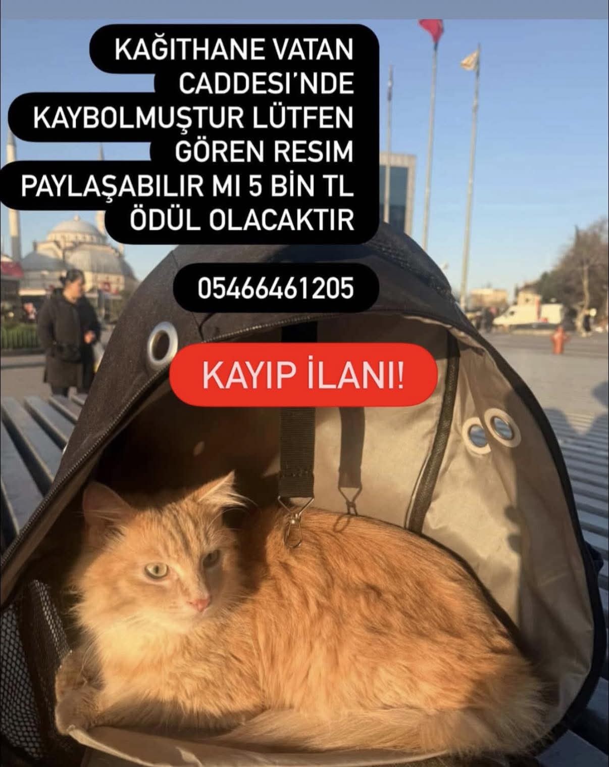 Gönderi