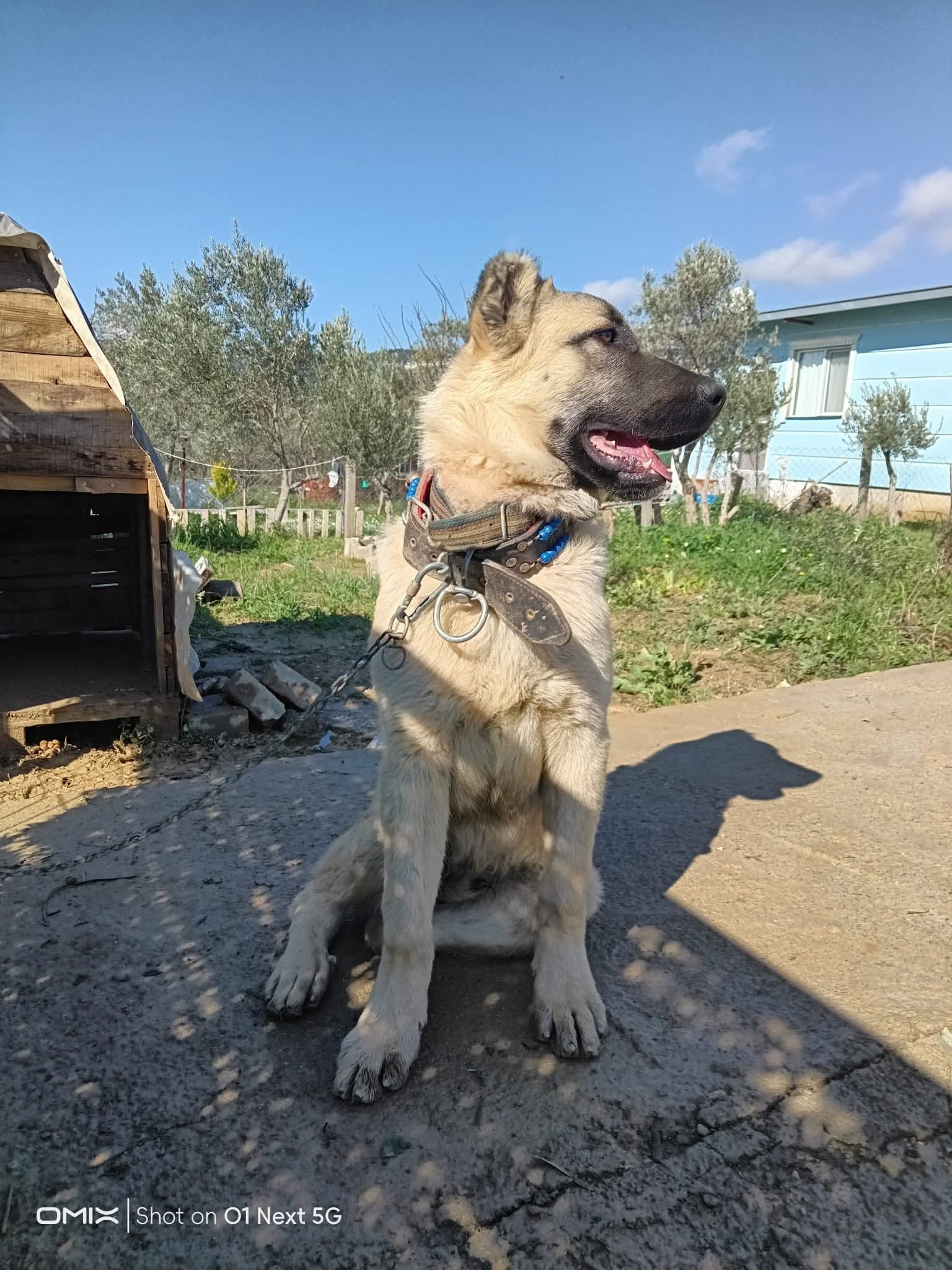 Gönderi