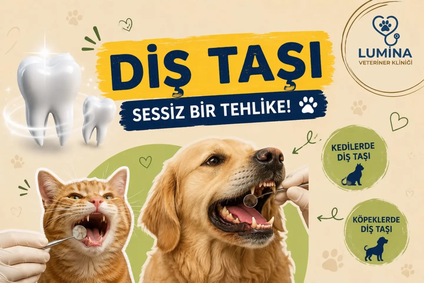 Gönderi