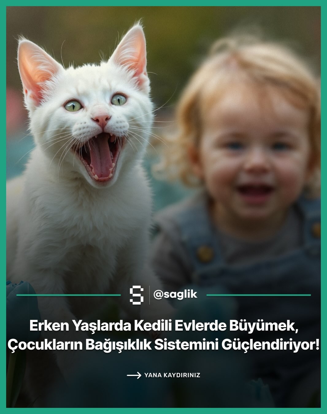 Gönderi