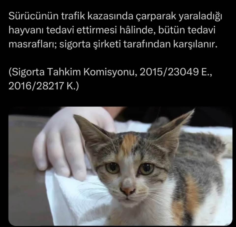 Gönderi