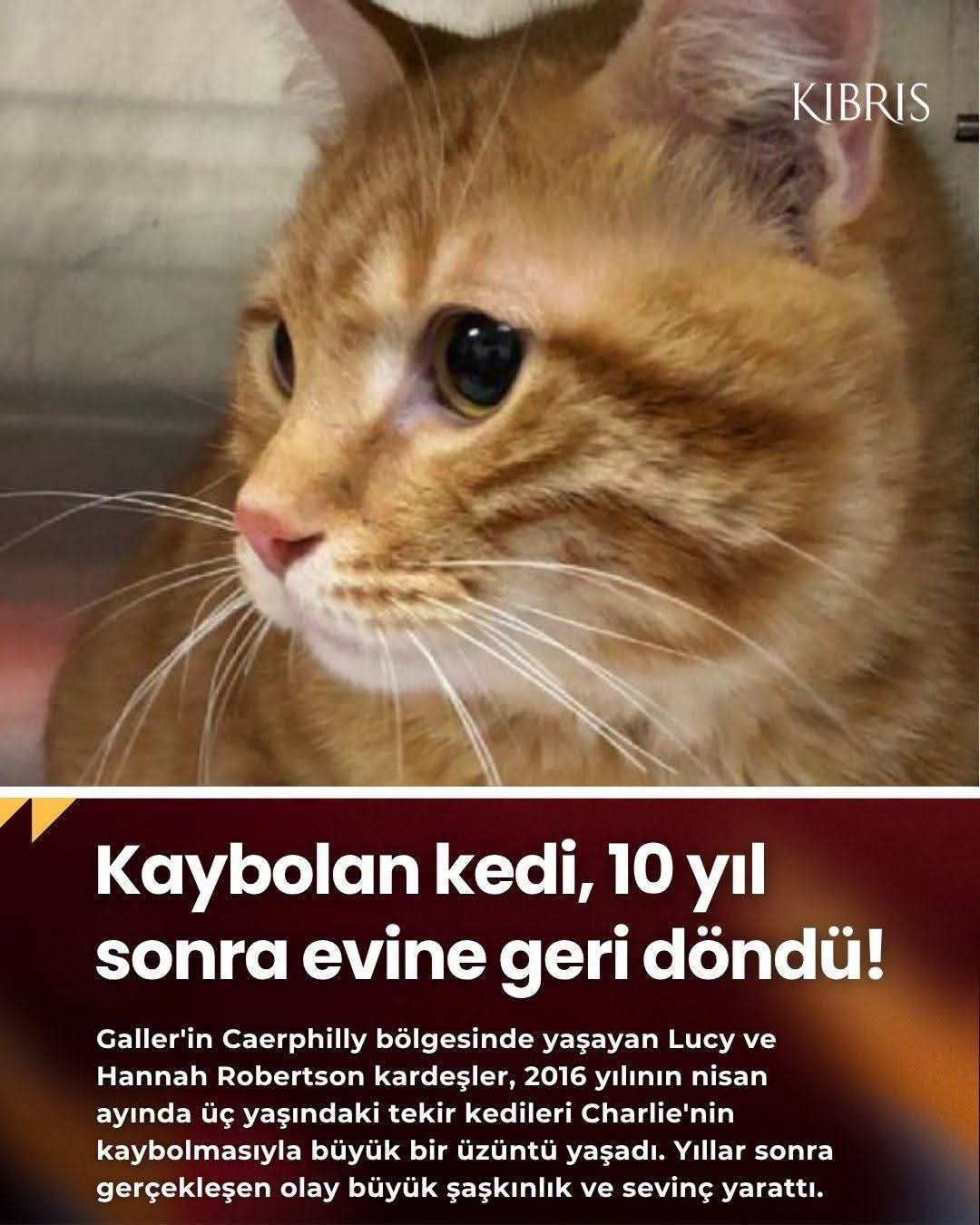 Gönderi