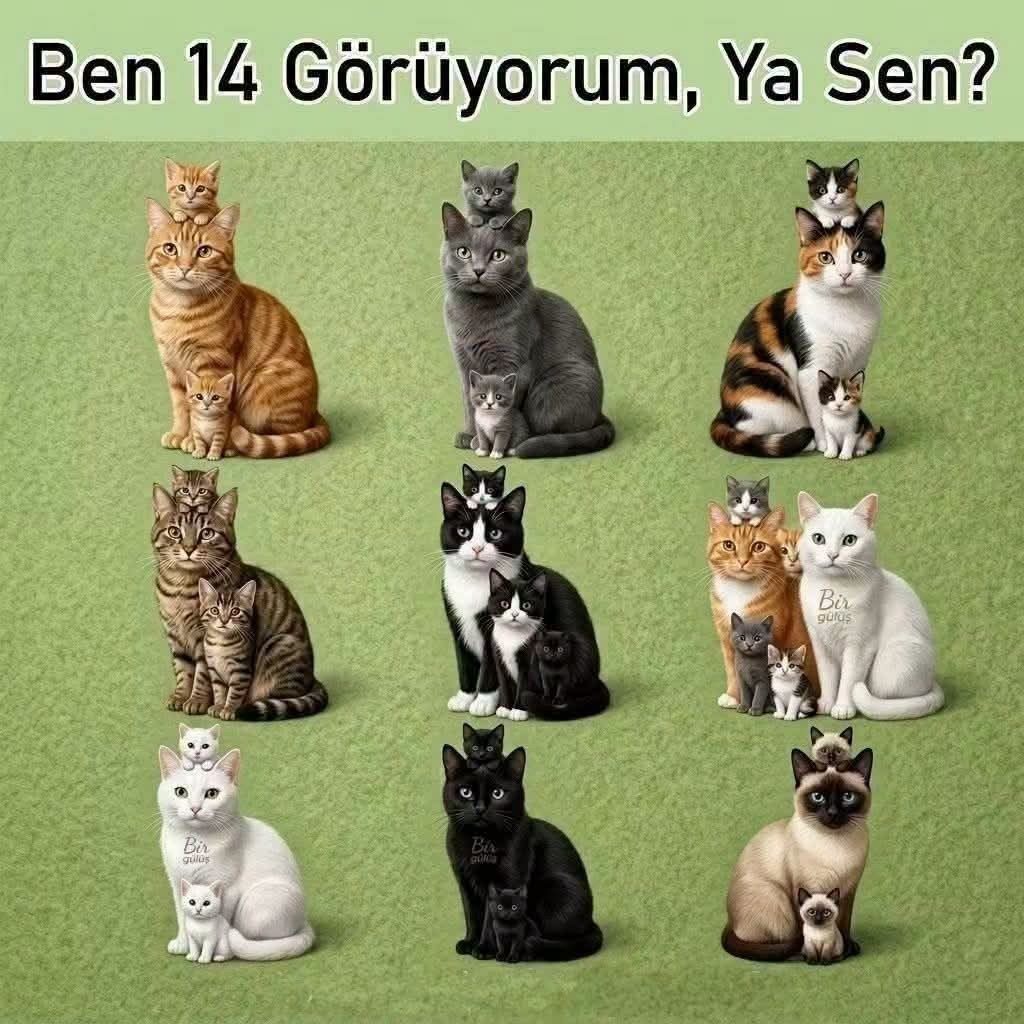 Gönderi