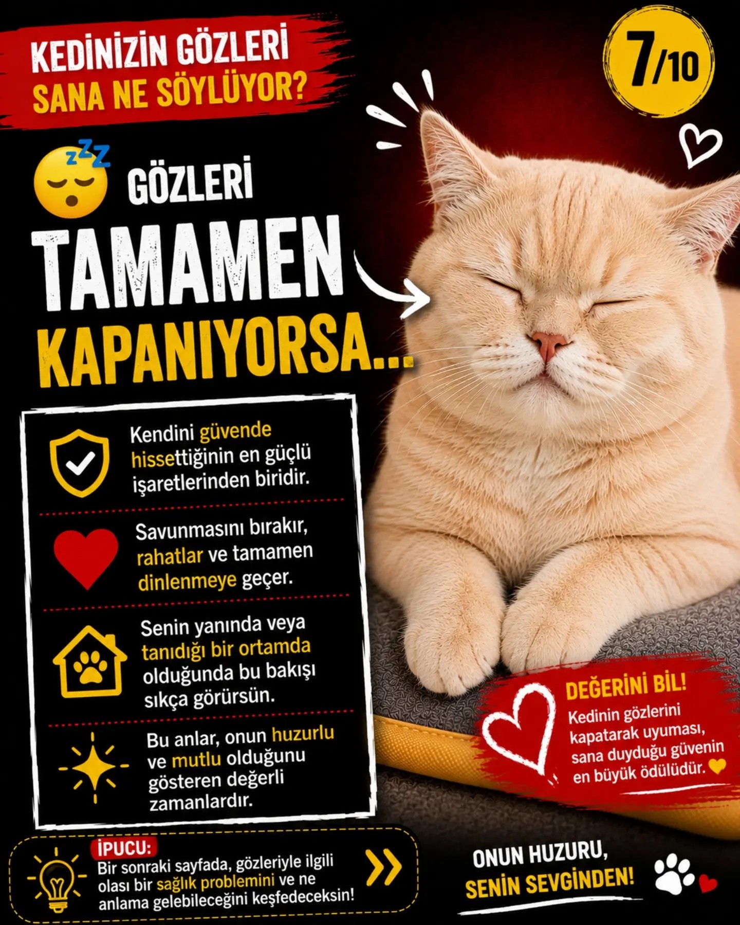 Gönderi
