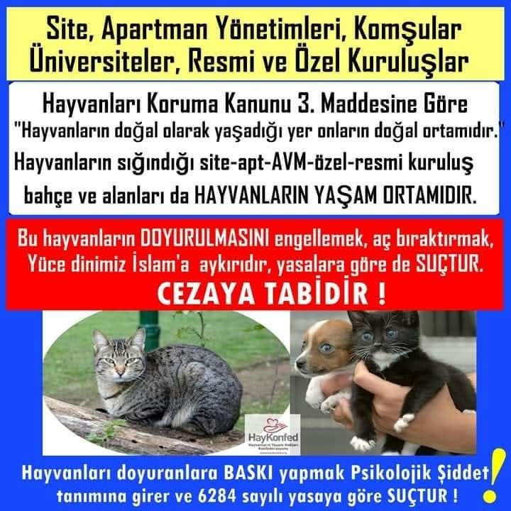 Gönderi