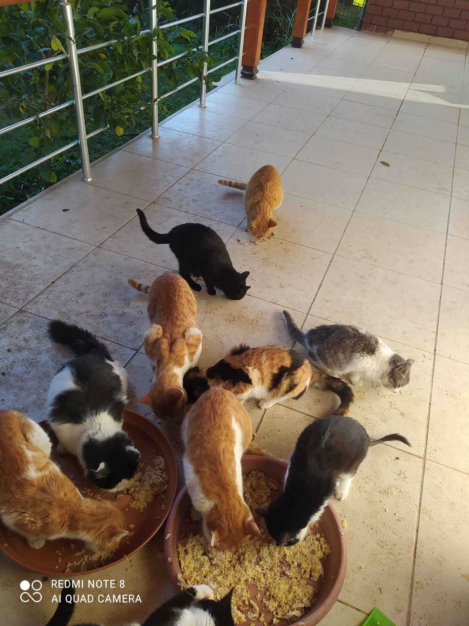 Gönderi