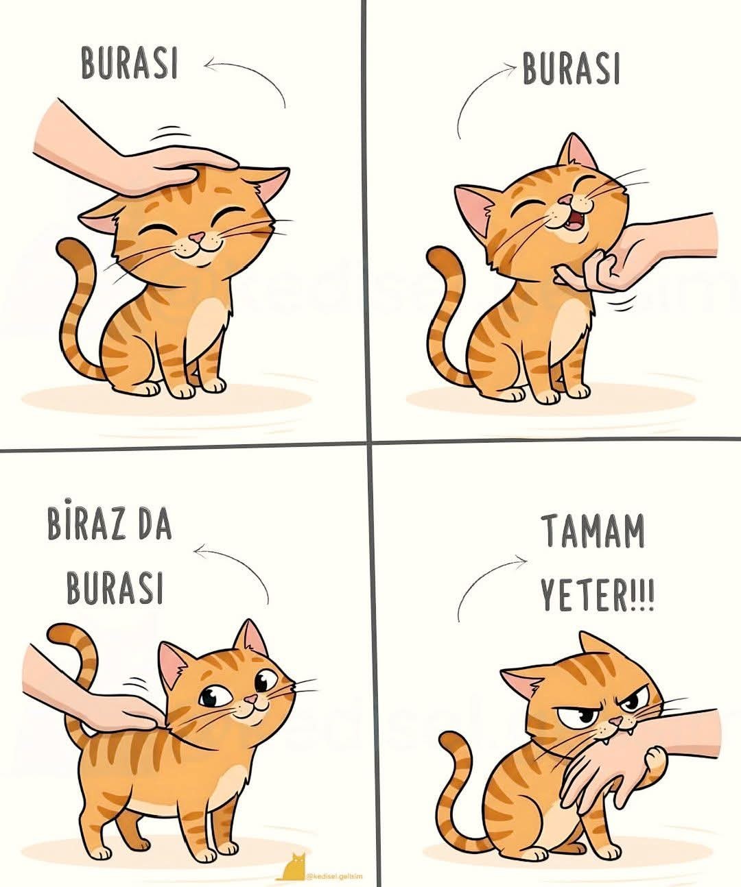 Gönderi