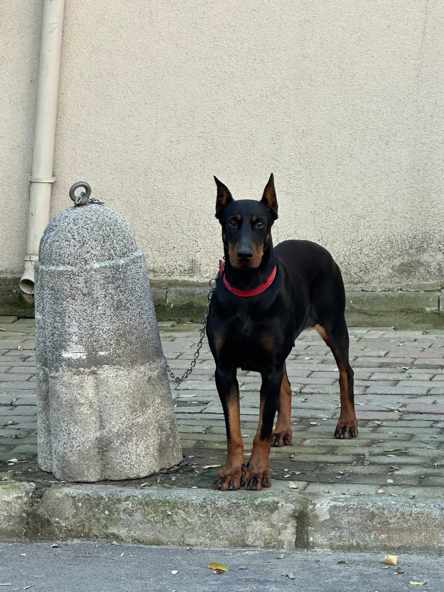 Gönderi