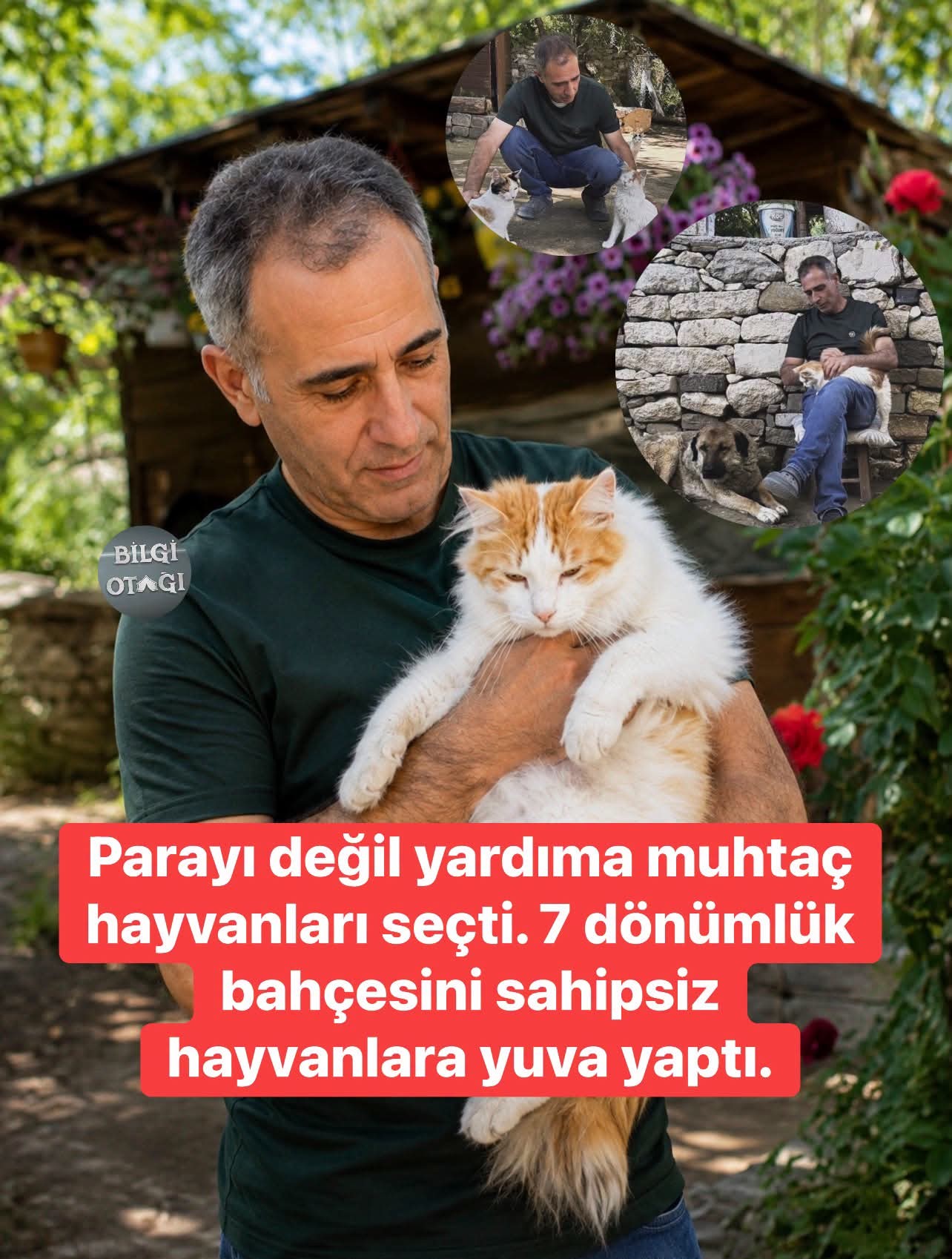 Gönderi