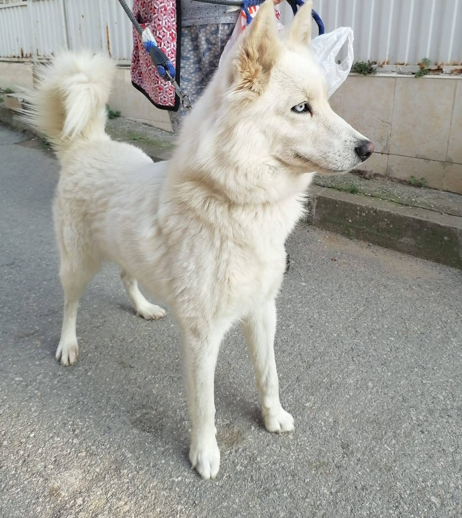 Gönderi