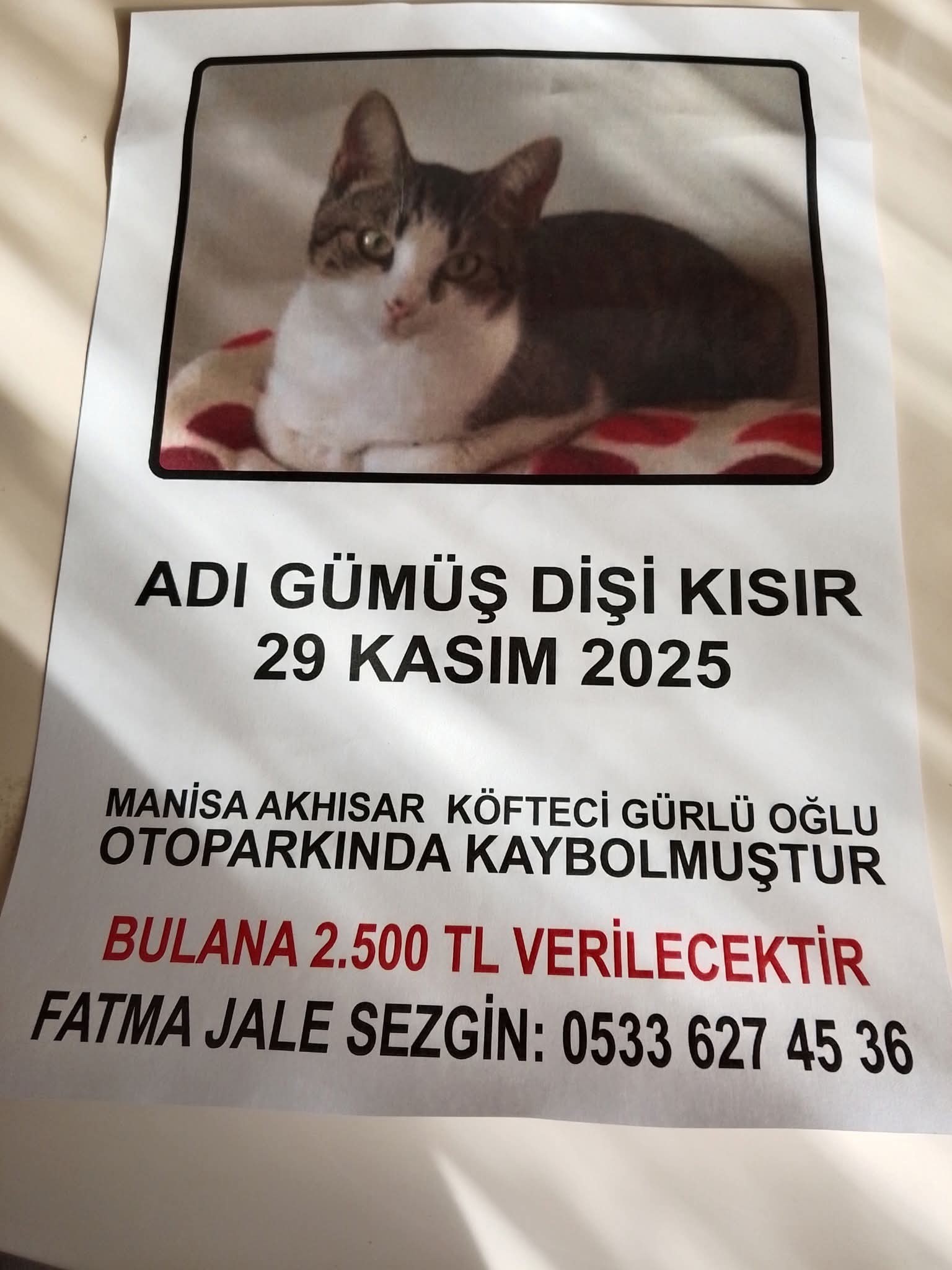 Gönderi