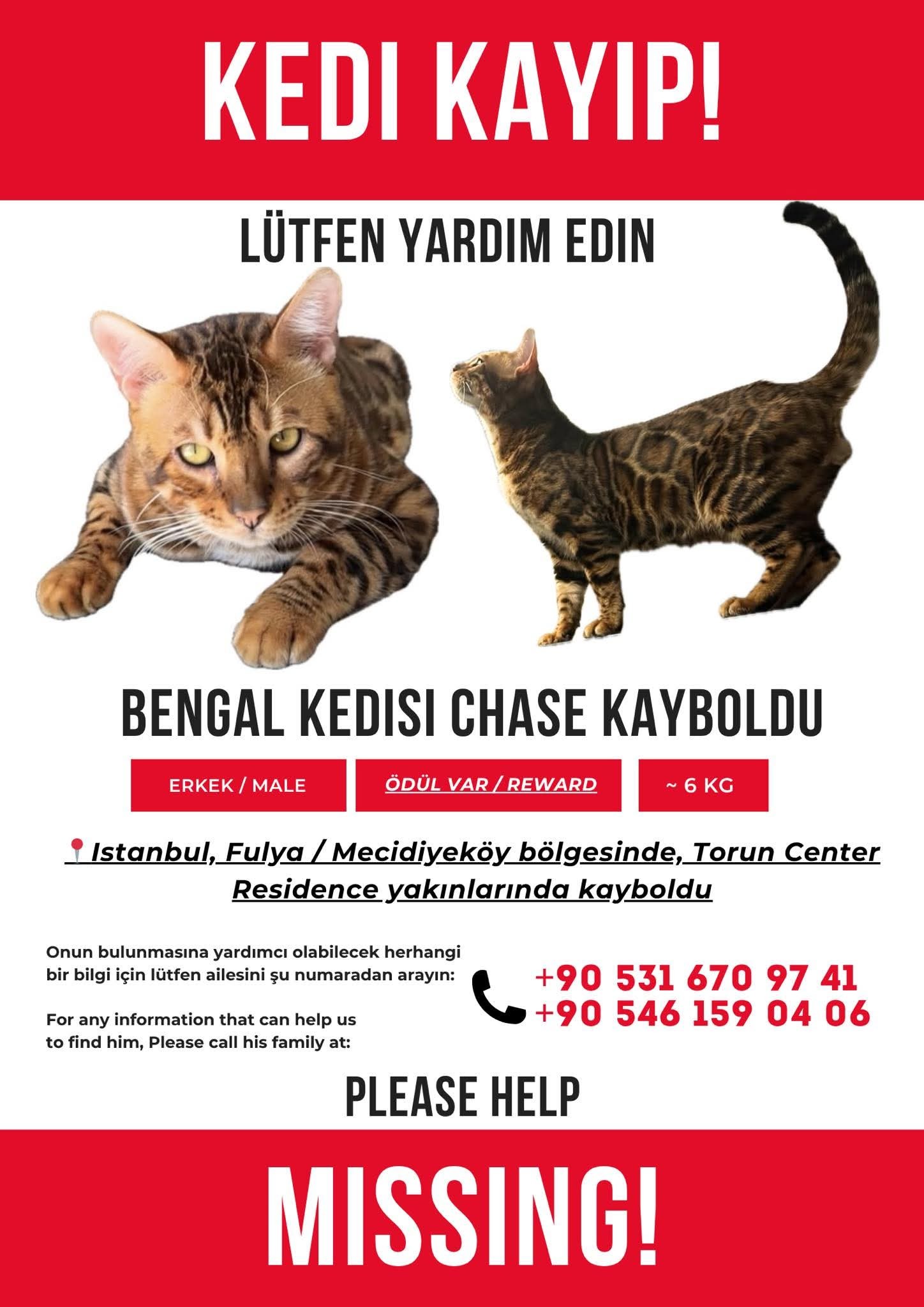 Gönderi