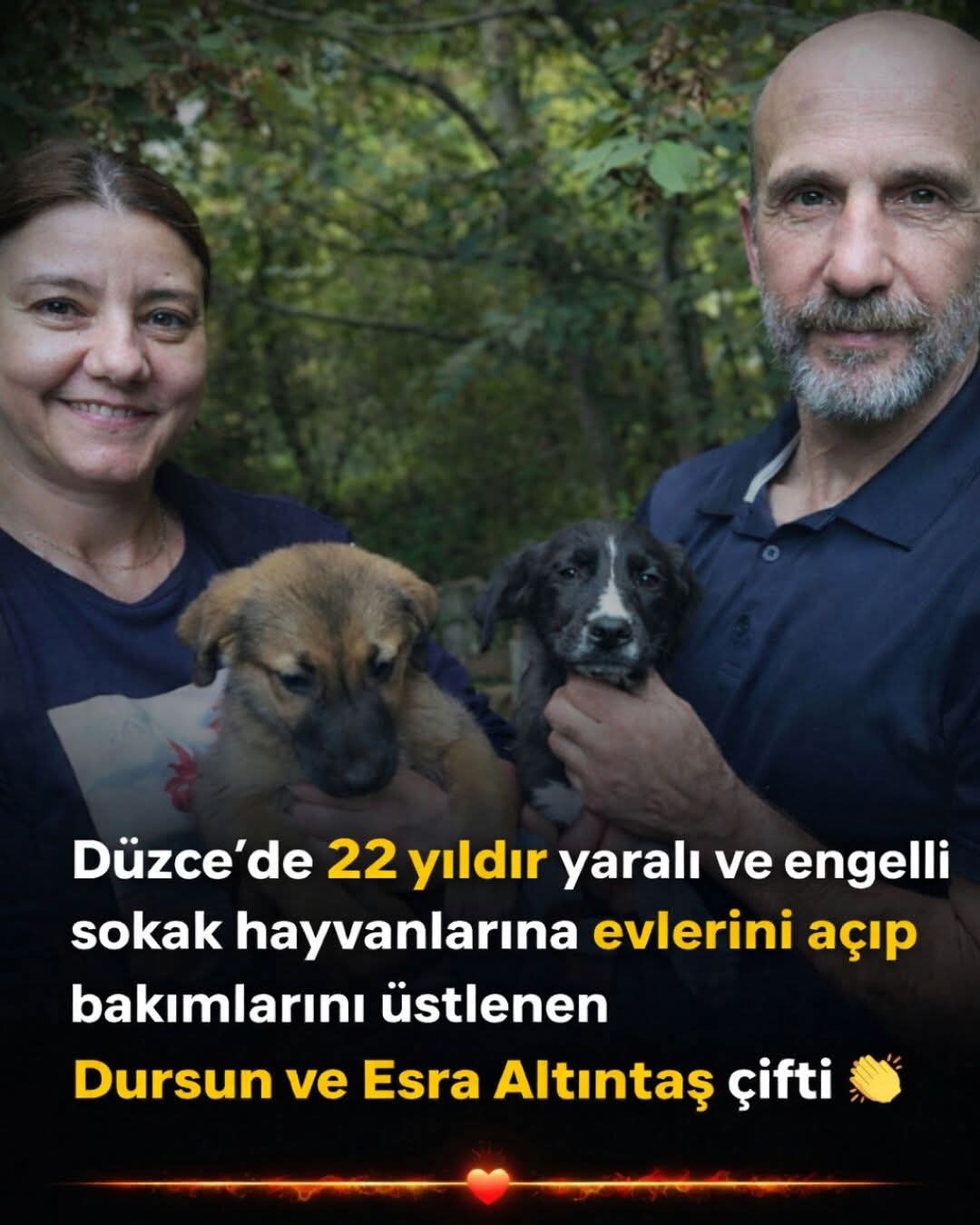 Gönderi