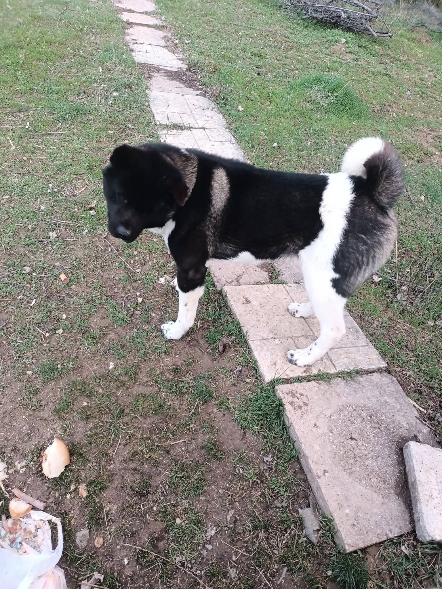 Gönderi