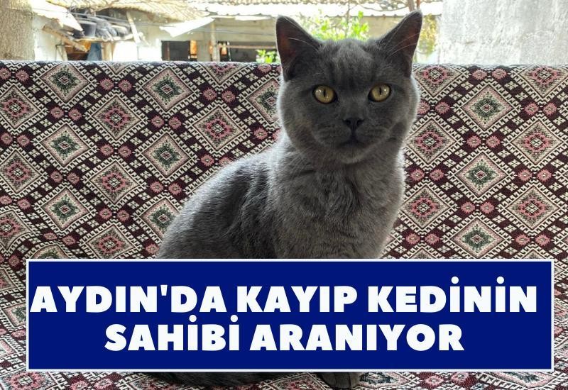 Gönderi