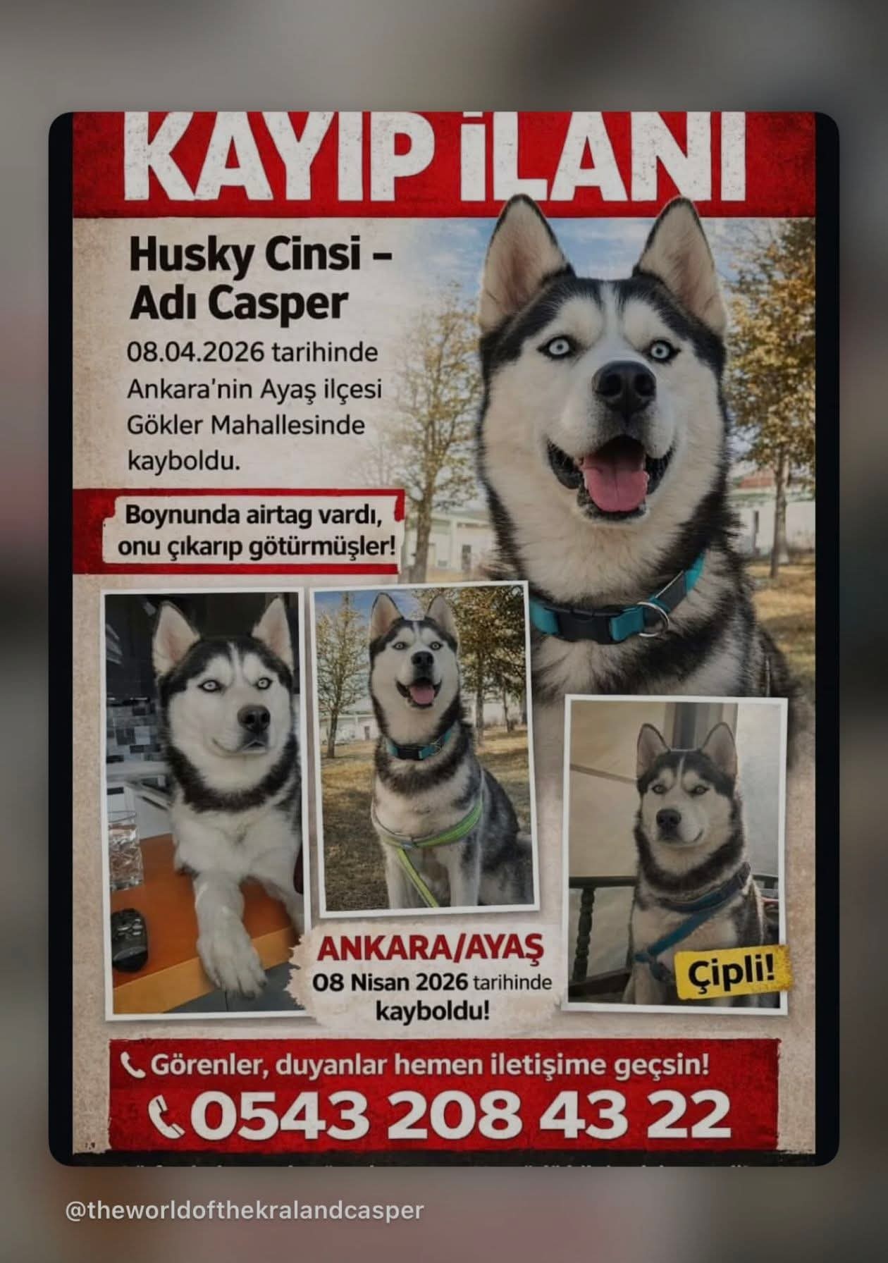Gönderi