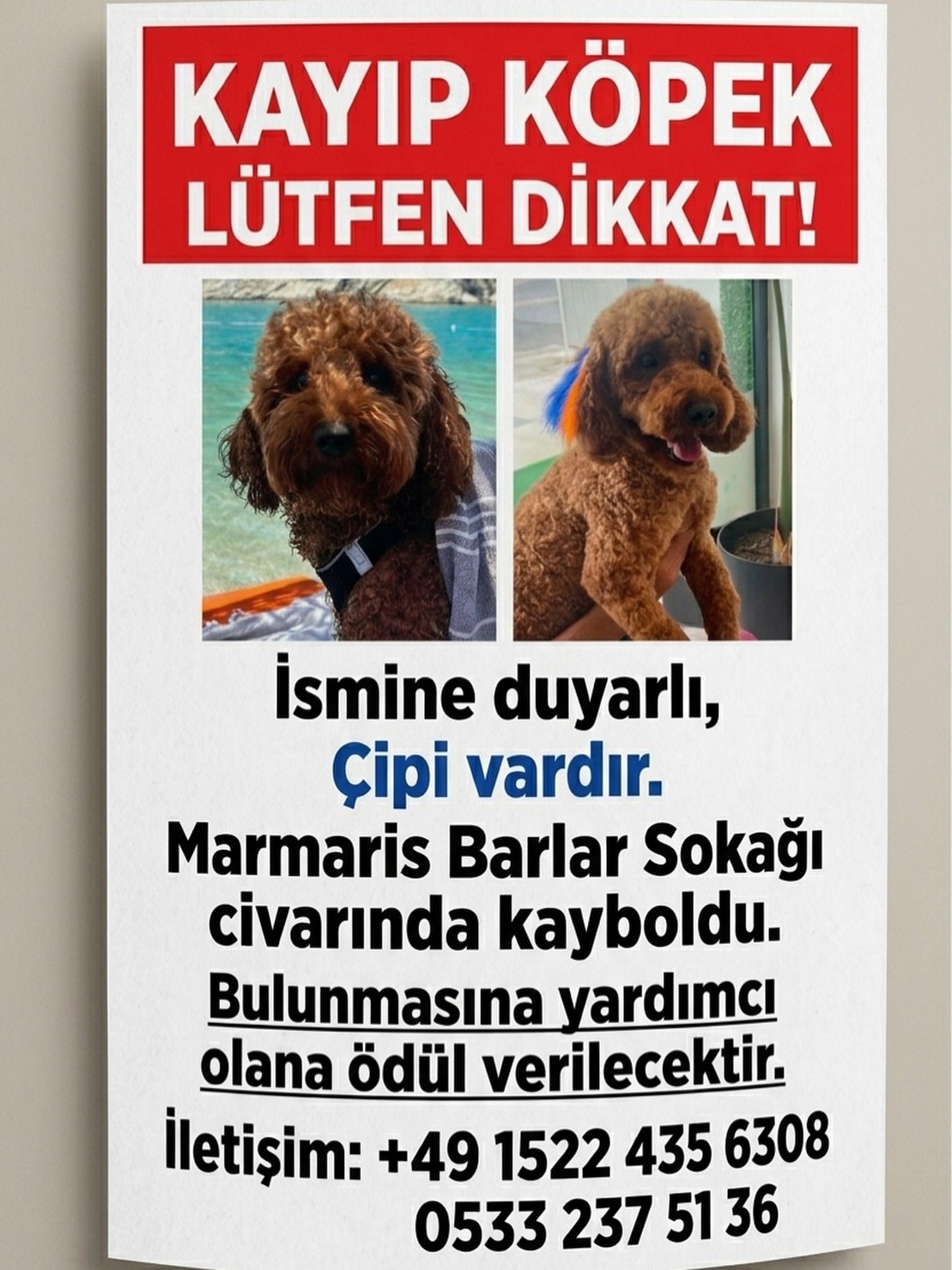 Gönderi