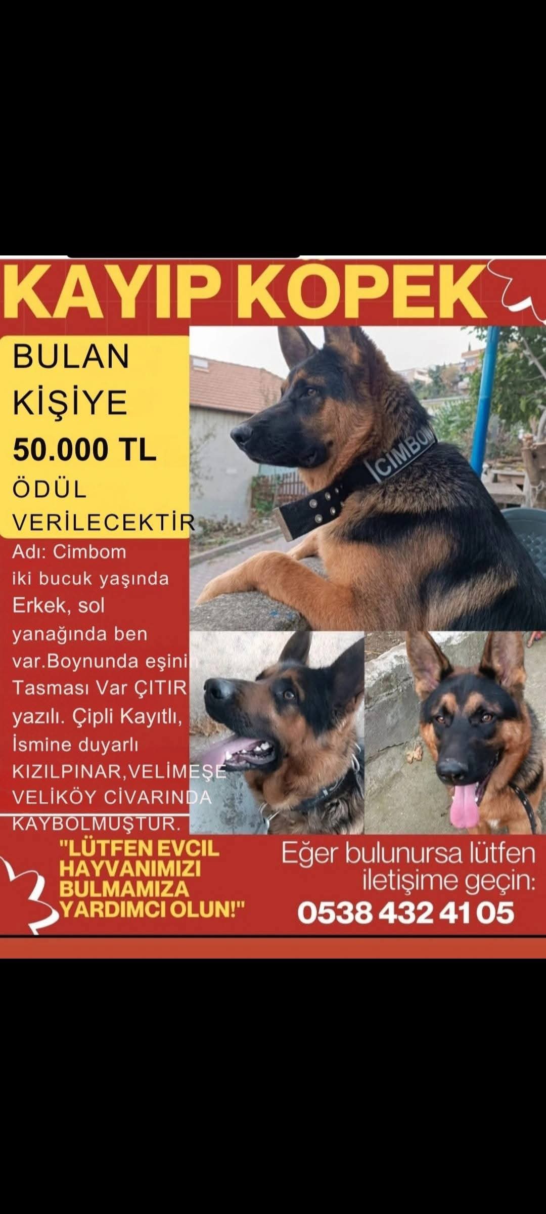 Gönderi