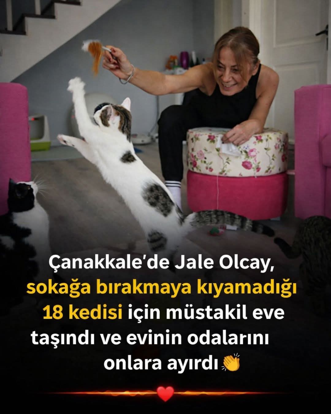 Gönderi