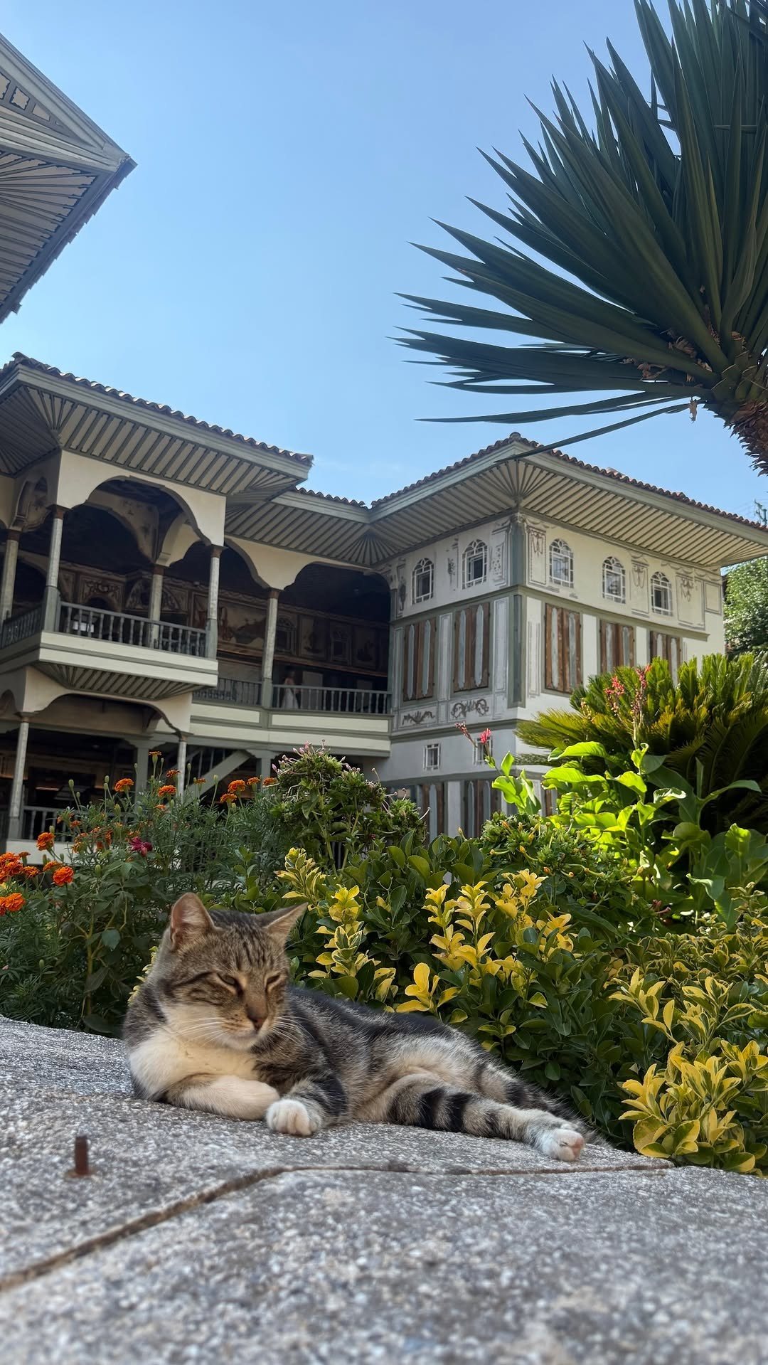 Gönderi