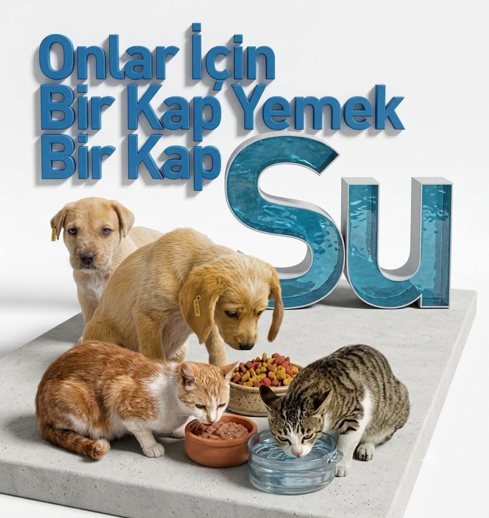 Gönderi