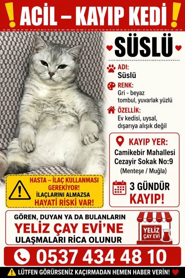 Gönderi