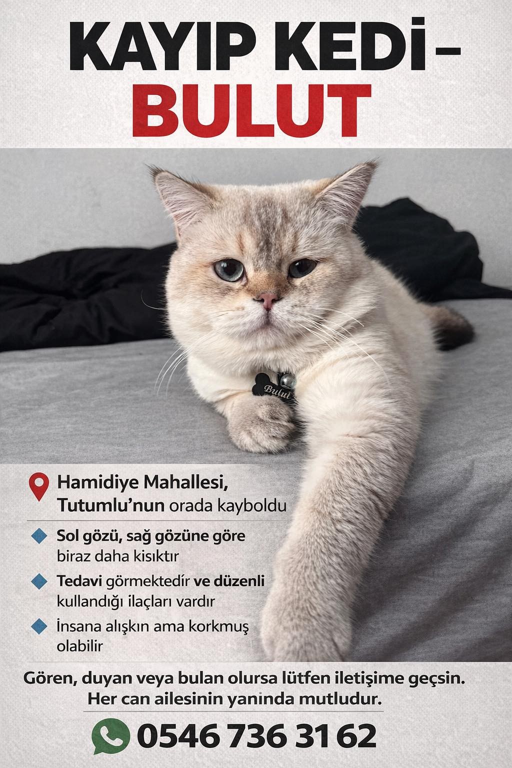 Gönderi