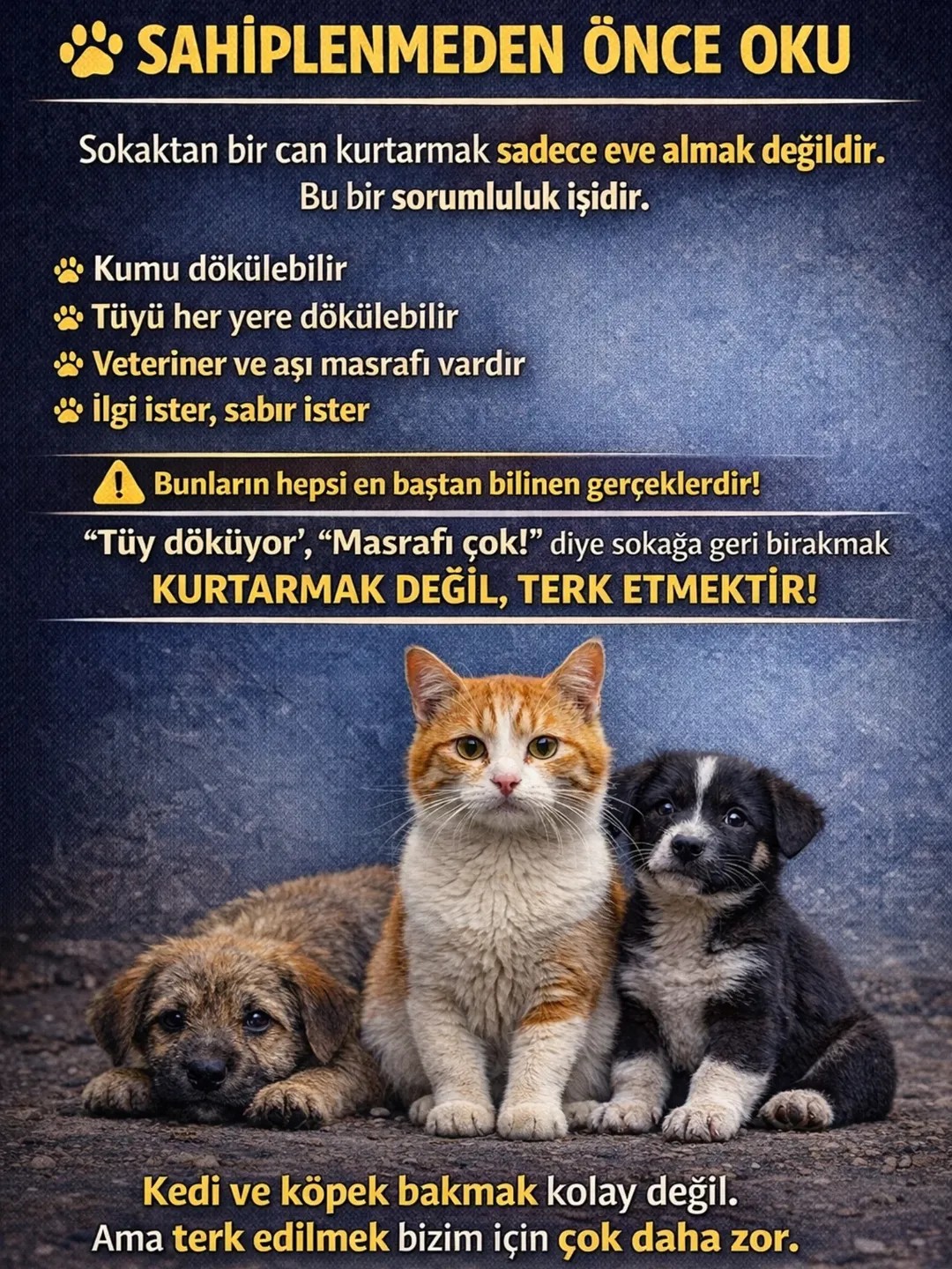 Gönderi