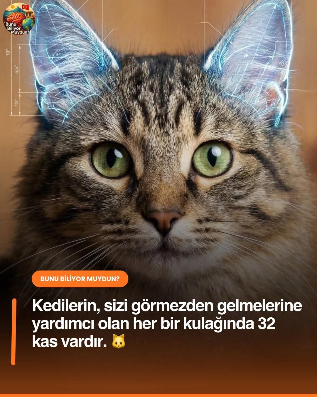 Gönderi