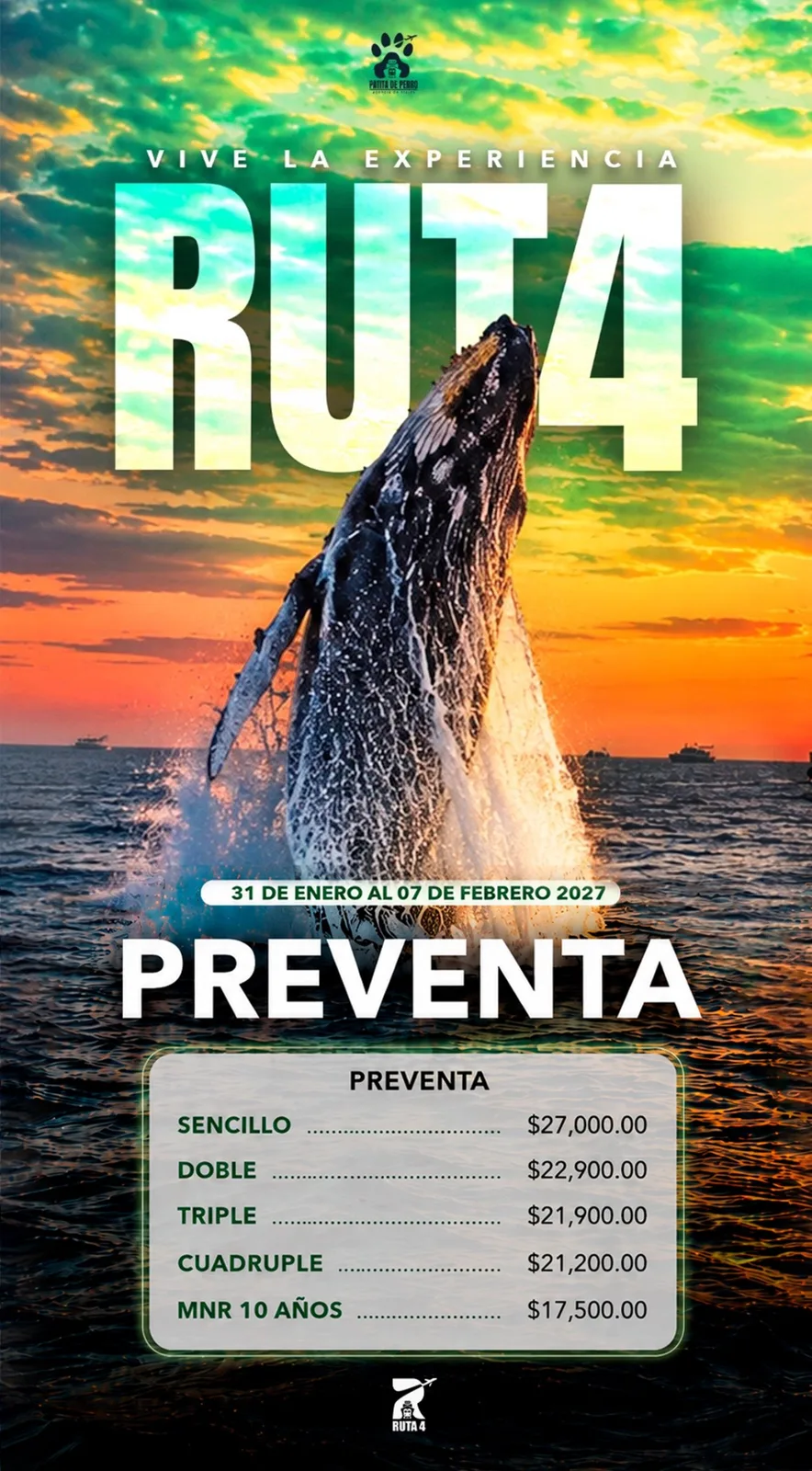 Ruta 4 edición ballenas