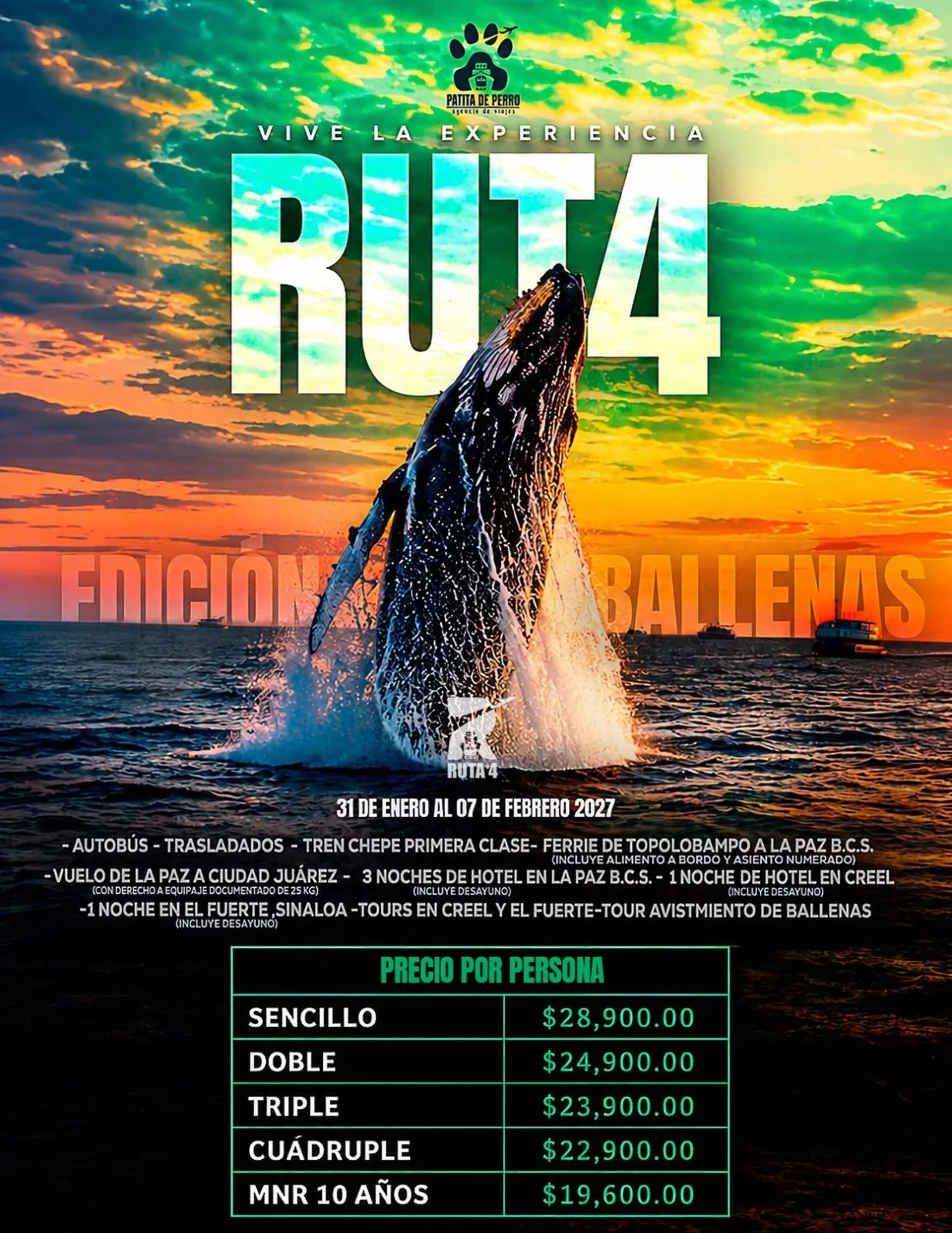 Ruta 4 Edición Ballenas 2027