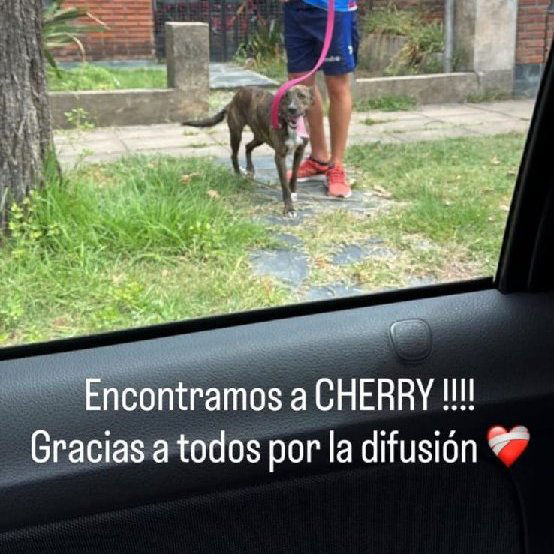 Cherry - caso de éxito