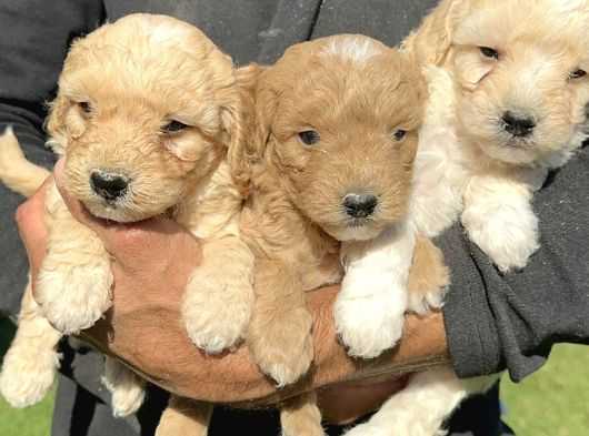 BU BAŞLIK BİR TEST BAŞLIĞIDIRBU SEBEPLE TEST BAŞLIĞI OLRAK O