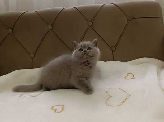 Minik yavrularımız sizinle