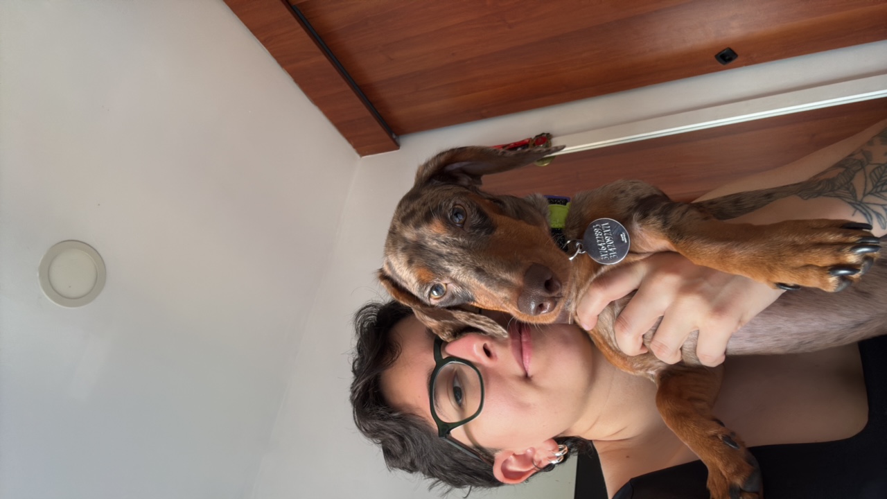 Dann&theo's profile picture