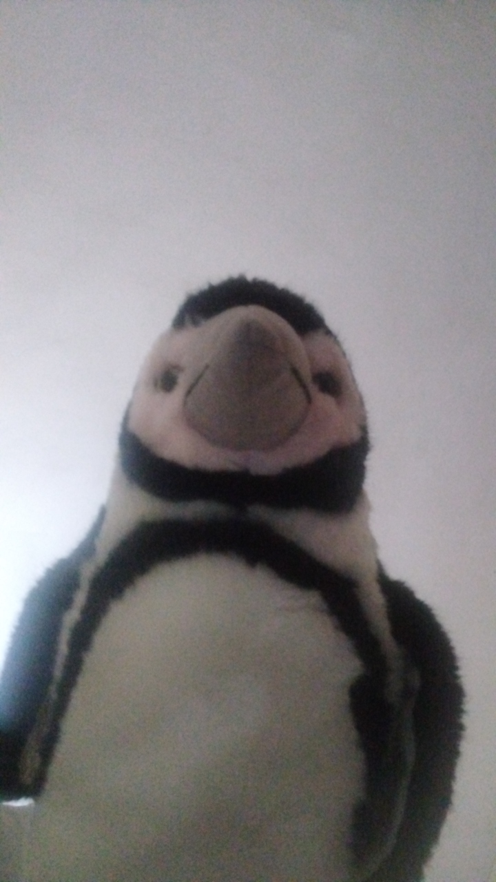 Tinnie Martinz🫦's profile picture