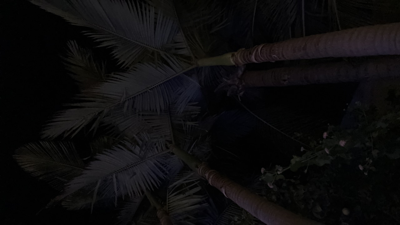 FM-7tifv2's profile picture