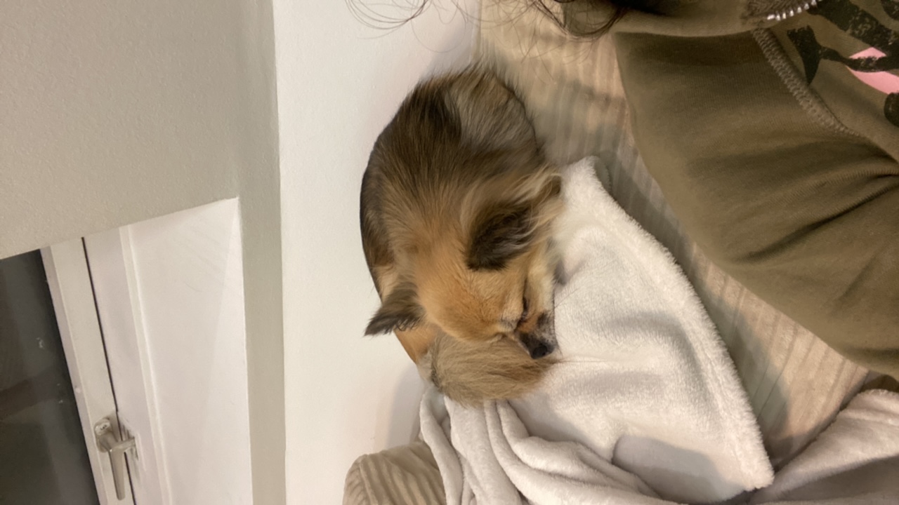 juicy_d0llz<3's profile picture