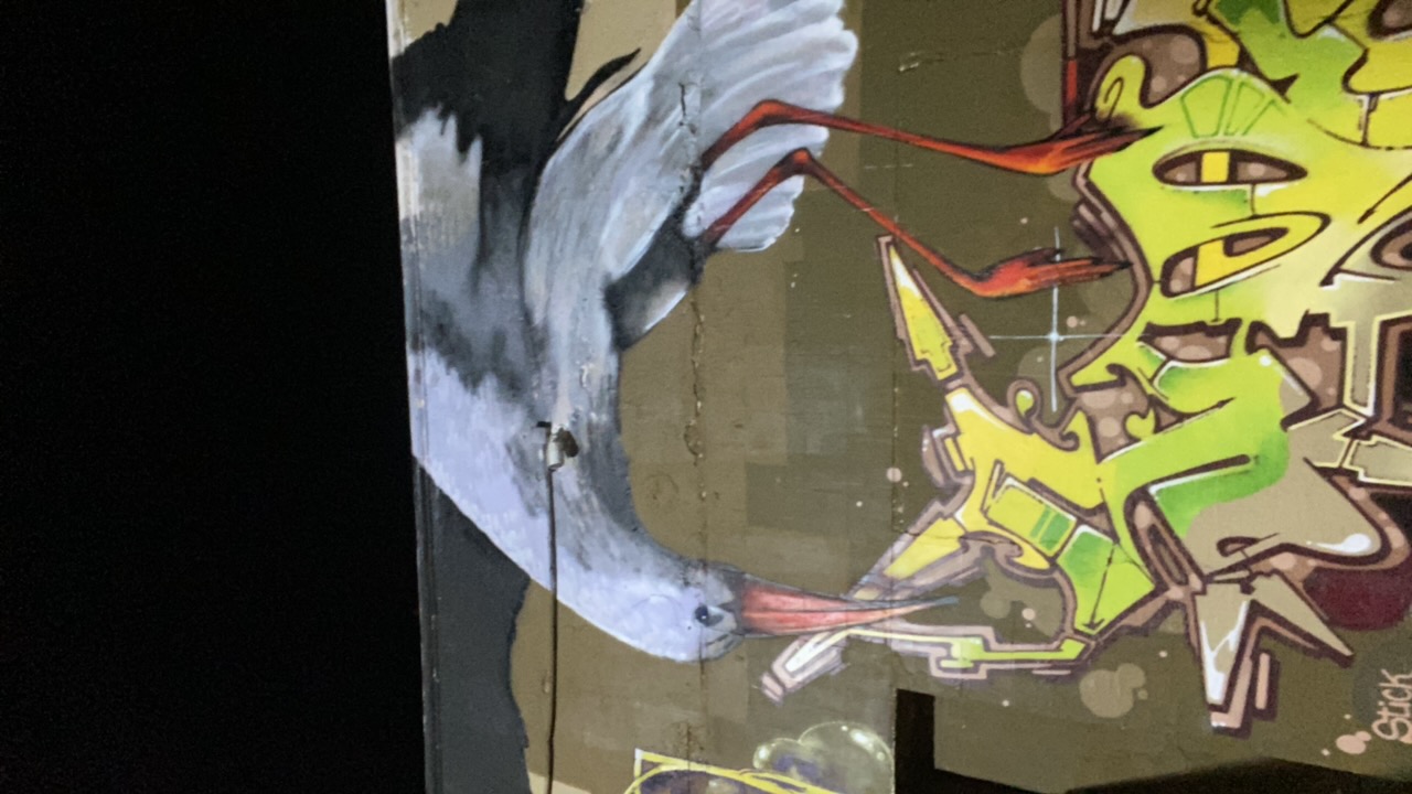 simo skd's profile picture